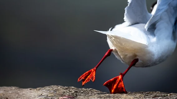 Salesforce тихонько сократила около тысячи человек