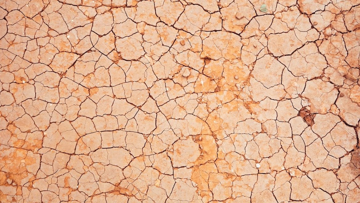 Цифровая засуха: разработка ИИ требует все больше воды которой становится все меньше