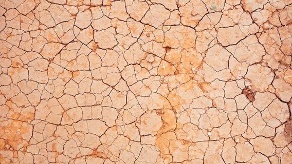Цифровая засуха: разработка ИИ требует все больше воды, которой становится все меньше