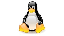 Обновление Microsoft сломало системы Linux по всему миру