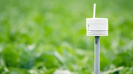 Из управления OneSoil ушёл последний кофаундер, запустил новый проект в Польше