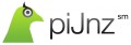 The piJnz Group
